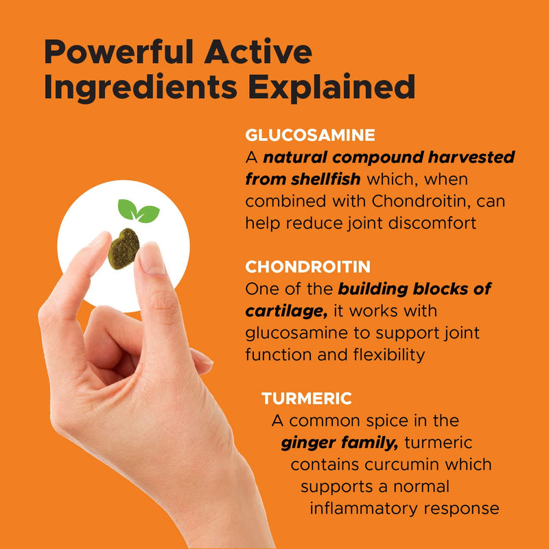 PetHonesty 10 in 1 Multivitamin + Hip & Joint Health Soft Chew Supplement Bundle - Dog Vitamins - Glucosamine Chondroitin, Omegas, Turmeric and MSM for Overall Dog Health, Joint Supplement for Dogs. - PawsPlanet Australia