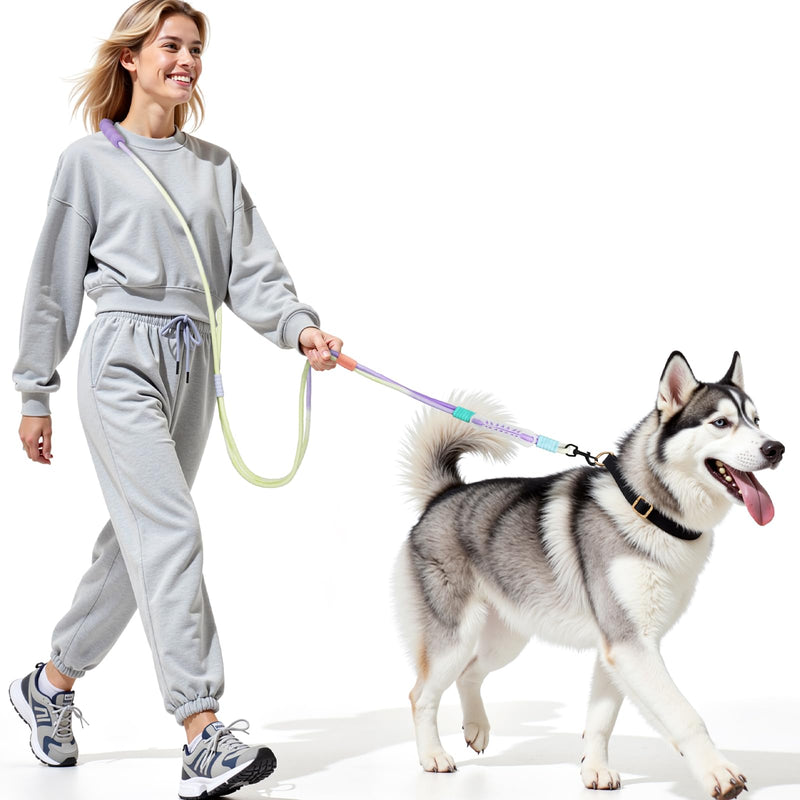 Hands Free Dog Leash Dual Handle, Wearable Leashes for Dog, Padded Waist Belts and Rotating Metal Clip,for Small Medium Large Dogs (18+ lbs) Walking Training Running (Purple Green, 6.5 FT) Purple green - BeesActive Australia