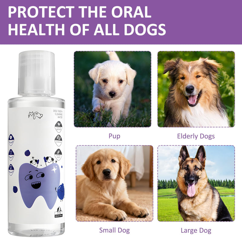 2 Pair Pawbright Dental Plus,Gentle,Promote Healthy Gums and Fresh Breath,Easy Daily Use for Pets,Effective Tartar Removal (Dog)