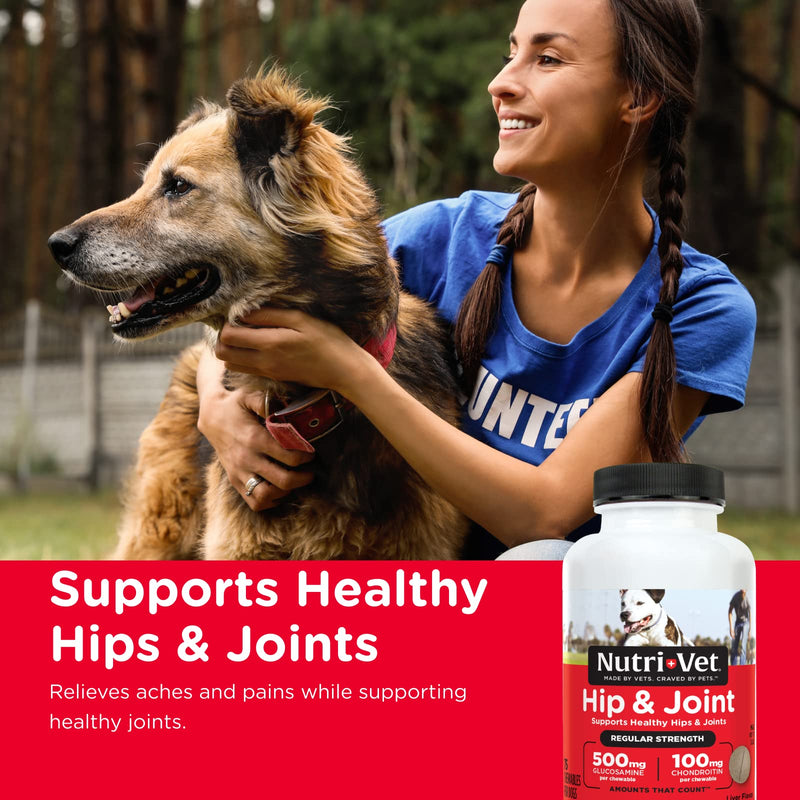 Nutri-Vet Hip & Joint Chewable Dog Supplements | Formulated with Glucosamine & Chondroitin for Dogs | 75 Count - BeesActive Australia