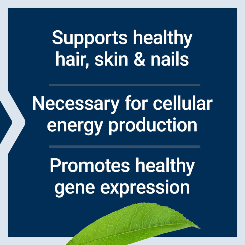Life Extension Biotin 600 mcg Vitamin B7 Support Supplement for Beautiful Hair, Nails & Beyond – Gluten-Free, Non-GMO - 100 Capsules | Supports Hair, Nail & Skin Health, Non-GMO & Gluten-Free Vitamin B7