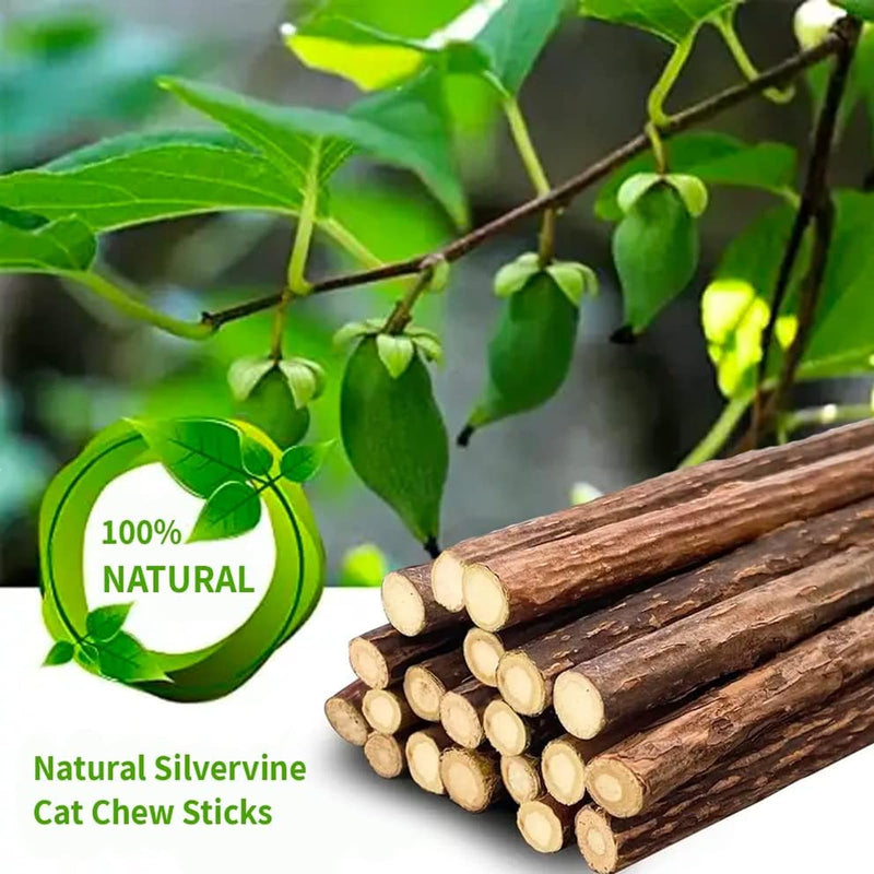 50 PCS Catnip Sticks For Cats, Cat Dental Chew Sticks, Matatabi Cat Dental Care, Silvervine Cat Teeth Cleaning Dental Sticks, Kitten Teething Toys for Indoor Cats 50 pcs