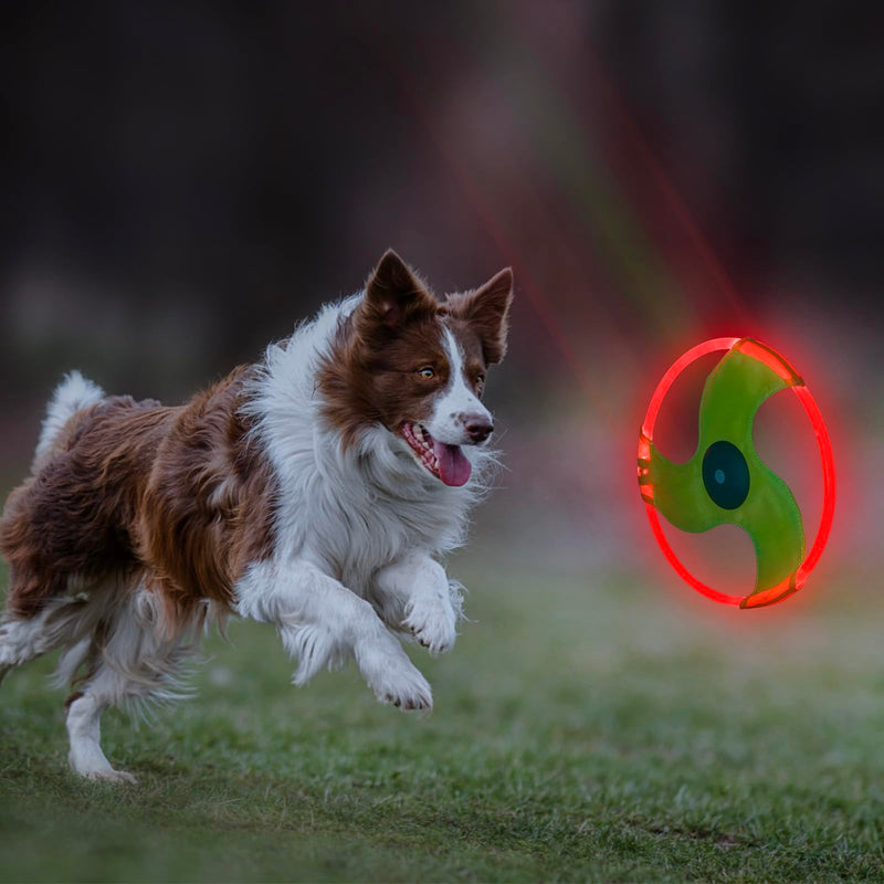 LED Dog Flying Disc, Rechargeable LED Light Dog Flying Disc Flyer Dog Toys, Glow in The Dark Flying Disc Dog Toy with 3 Light Models, Pet Training Throwing Playing for Physical Exercise - BeesActive Australia