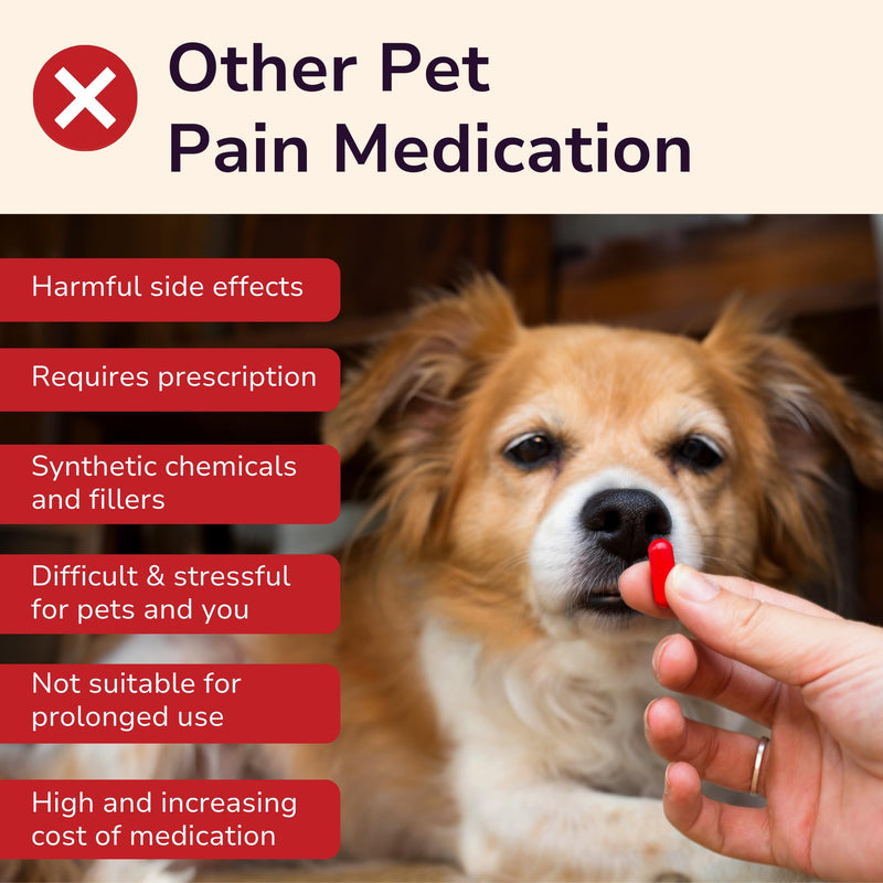 Glacier Peak Holistics HerbAprin - Natural Pain Relief for Dogs, Organic Herb Blend for Arthritis, Aches, Pains, Inflammation, Mobility Support, and Hip & Joint Discomfort - 3oz (90 Servings) - PawsPlanet Australia
