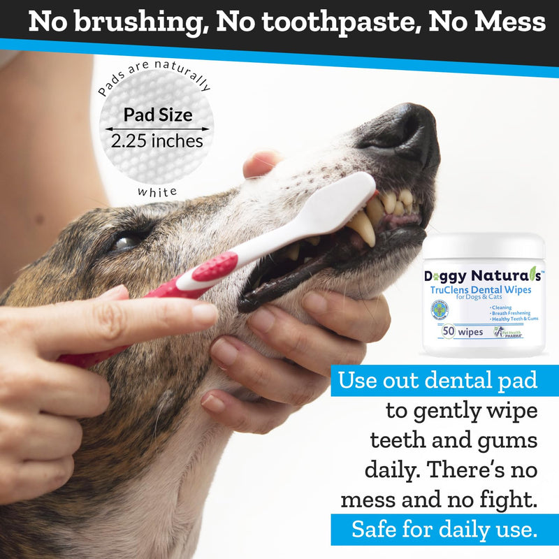 Pet Health Pharma TRUCLENS | Dental Wipes for Dogs and Cats 100ct Wipes (2 Pack)