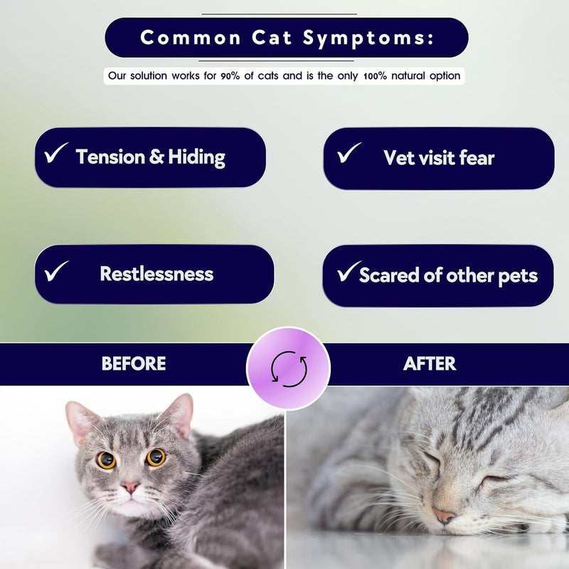 Natural Collar Anti Anxiety for Cats, Calming Collar for Indoor Cats, Stress and Anxiety Relief, Breakaway, Vet-Approved with Essential Oils (Lavender) Lavender