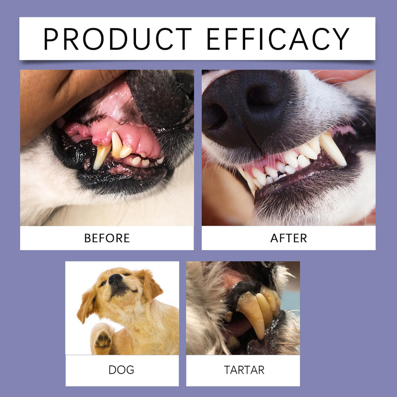 Dog Dental Water Additive, 200ml/6.76fl oz, Helps Freshen Breath & Helps Reduce Tartar, No Brushing Required, Gentle Formula for Daily Oral Care