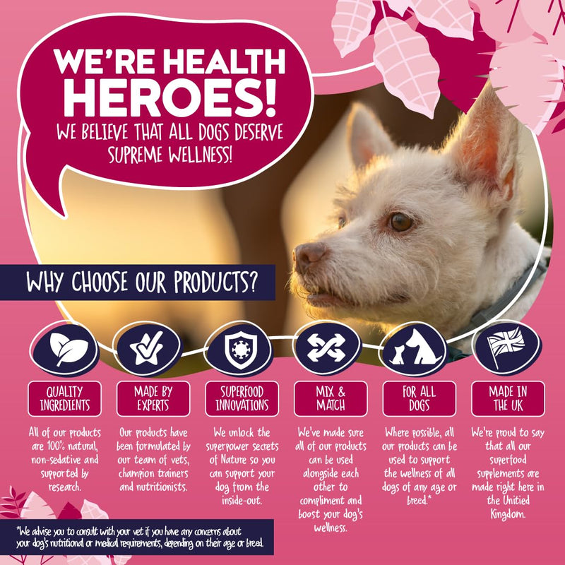 Dog Probiotics for Gut Health – Digestive Support Supplement Powder 10 Sachets – Prebiotics for Diarrhea Treatment, Gut Balance & Firm Stools – Dog Tummy Settler All Breeds - Made in UK