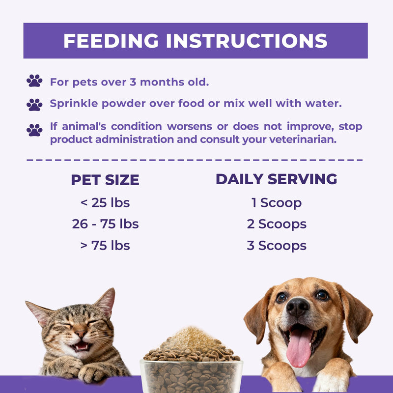 Wellix 7.05oz Lysine Powder for Cats & Dogs with Colostrum & Taurine for Dogs & Cats - Immune Support Supplement with Quercetin & Multivitamin for Respiratory Health, Coughing Treatment