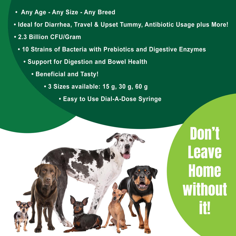 Dogzymes Canine Probiotic Paste Beneficial Bacteria-Enzyme 2.3 Billion CFU/gm Saccharomyces boulardii Organic Dried Honey Powder (15 Gram) 15 Gram