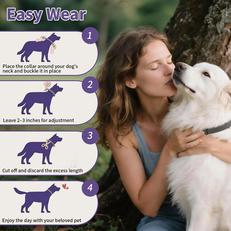 Wiiks&Wooks Flea and Tick Collar for Dogs, 5 Packs Flea Collar for Dogs for 40 Months Protection, Waterproof & Adjustable Flea and tick Prevention Collar for Small Medium Large Dogs & Puppies, Grey 5 Pack Flea Collars