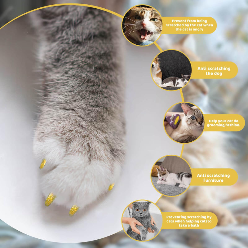 Cat Nail Caps with Glue - 20pcs Pet Kitten Cat Claw Caps Cat Claw Covers for Small Medium Large Cats - Crystal Gold M - BeesActive Australia