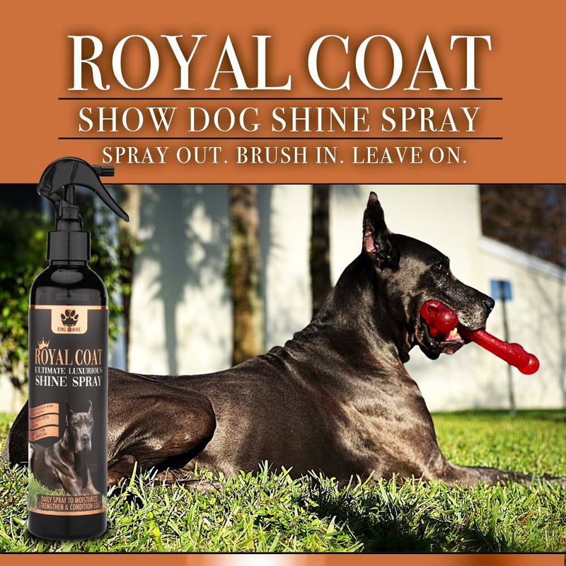 King Kanine Coat Shine Dog Spray - Royal Coat Dog Spray Deodorizer Perfume - Premium Moisturizing Coat and Shine Spray - Promotes Soft Healthy Skin - 8oz - PawsPlanet Australia