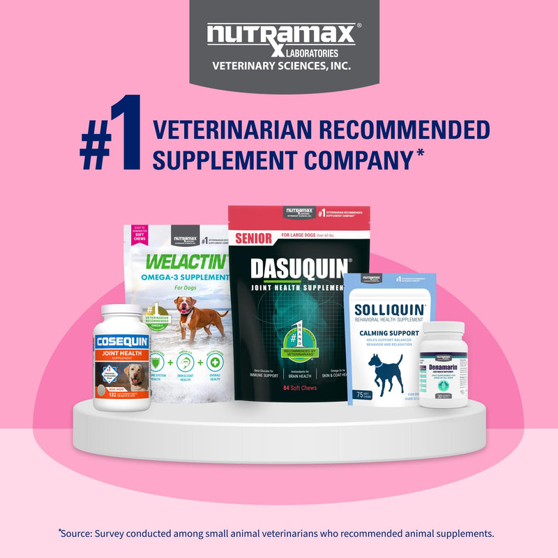 Nutramax Proviable Probiotics for Dogs, Diarrhea Support Kit, Digestive Health Supplement with Multiple Strains of Bacteria, Plus Prebiotics, Kaolin and Pectin, 30 ml Paste and 10 Capsules Dogs - 30 ml (Pack of 10)
