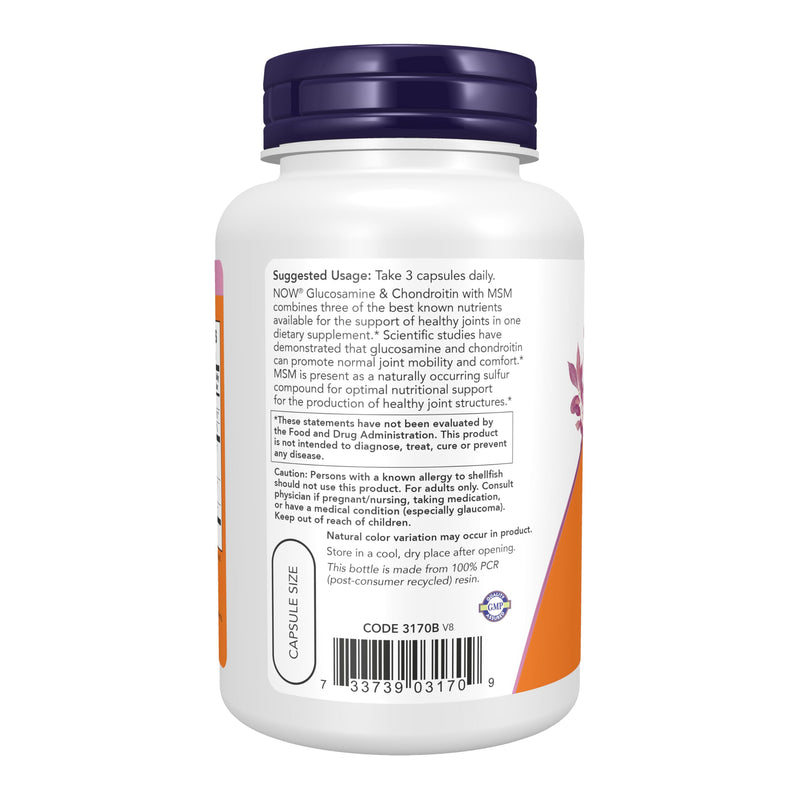 Glucosamine & Chondroitin with MSM - 90 Caps -2 Pack