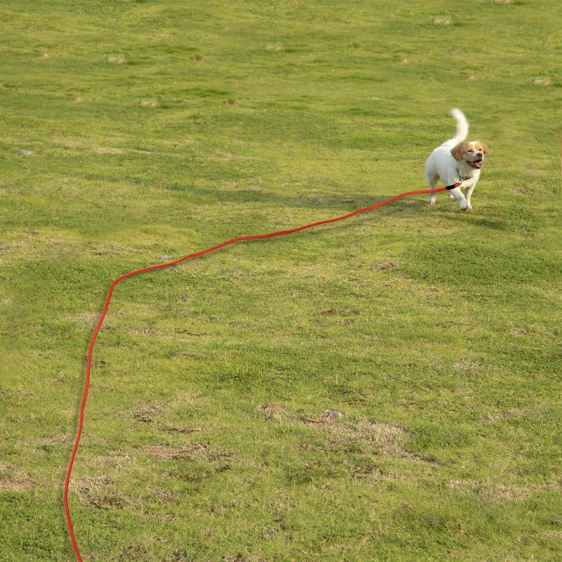 Vivifying Floating Long Dog Leash, 20FT Dog Training Leash, Lightweight Dog Check Cord Rope Leash with Comfortable Handle for Outside, Hiking, Swimming, Beach and Lake Orange - BeesActive Australia