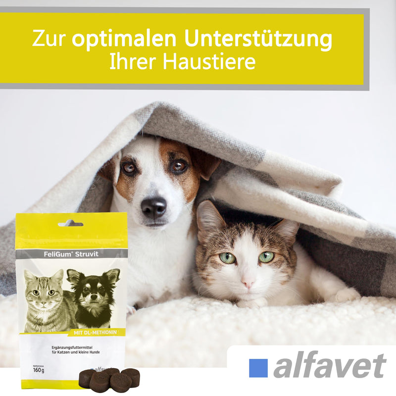 alfavet Feligum Struvit, chewing drops for dissolving struvite stones, cats and small dogs, 160g - BeesActive Australia