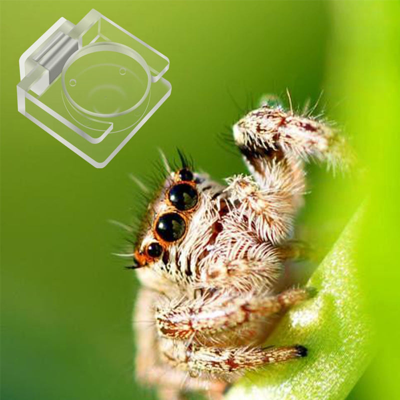 Acrylic Jumping Spider Feeding Dish Accessories, Transparent Jumping Spider Enclosure Accessories, Tarantula Enclosure Accessories for Tarantula, Jumping Spider Feeding Dish Spider Terrarium - BeesActive Australia