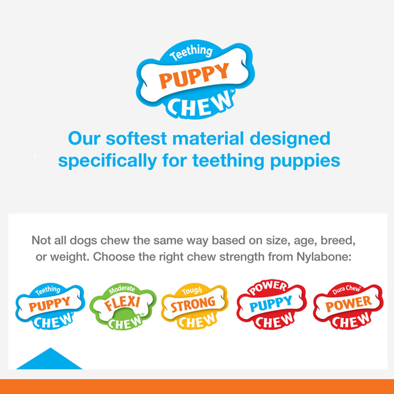 Nylabone Puppy Chew Freezer Toy - Puppy Chew Toy for Teething - Puppy Supplies - Lamb & Apple Flavor, Small/Regular (1 Count) Chill & Chew Bone Small/Regular - Up to 25 Ibs. Small up to 25 lbs. - BeesActive Australia