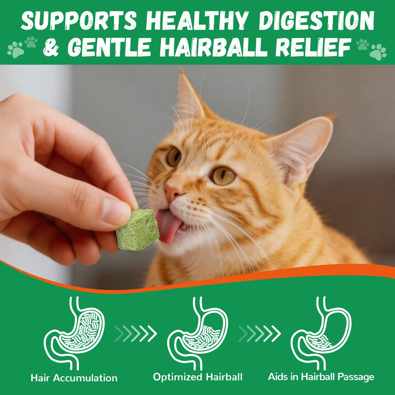 Cat Grass Treats for Indoor Cats, 60g Freeze-Dried Cat Teeth Cleaning Treats - Feline Grass Treаts for Hairball Control and Digestive Support with Probiotics & Prebiotics, Chicken Flavor