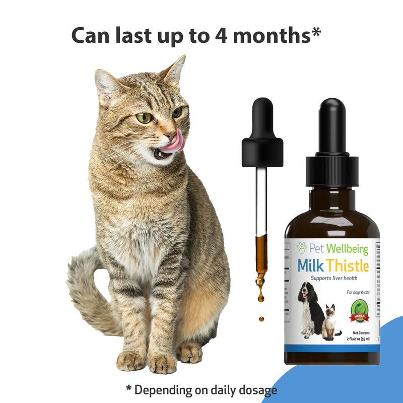 Pet Wellbeing Milk Thistle for Cats - Supports Liver Health, Healthy Detoxification, Antioxidant Support, Liver Cell Support, Silymarins - Veterinarian-Formulated Herbal Supplement (2 fl oz (59 ml) 2 Fl Oz (Pack of 1) - BeesActive Australia