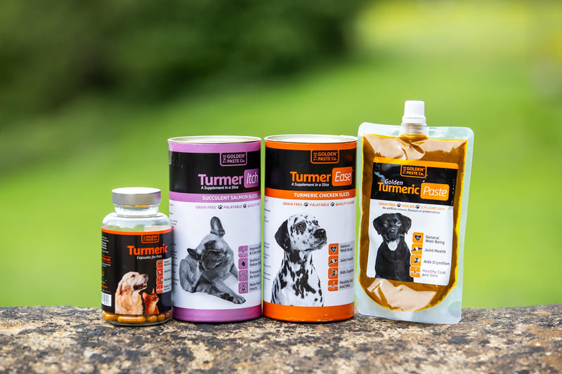 The Golden Paste Company for Dogs Anti Inflammatory Cycles - 200g - Turmeric Joint Health Supplement with Ceylon Cinnamon, Apple Cider Vinegar & Coconut Oil for Dogs 200 g (Pack of 1)