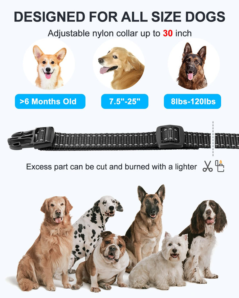 No Shock Dog Training Collar with Remote, Dog Vibration Collar with Controller Beep and Vibrate Only, Safe Lock Waterproof Rechargeable Vibrating Collars for Dogs(10-120 lbs)-No Prongs (Black) Black - BeesActive Australia