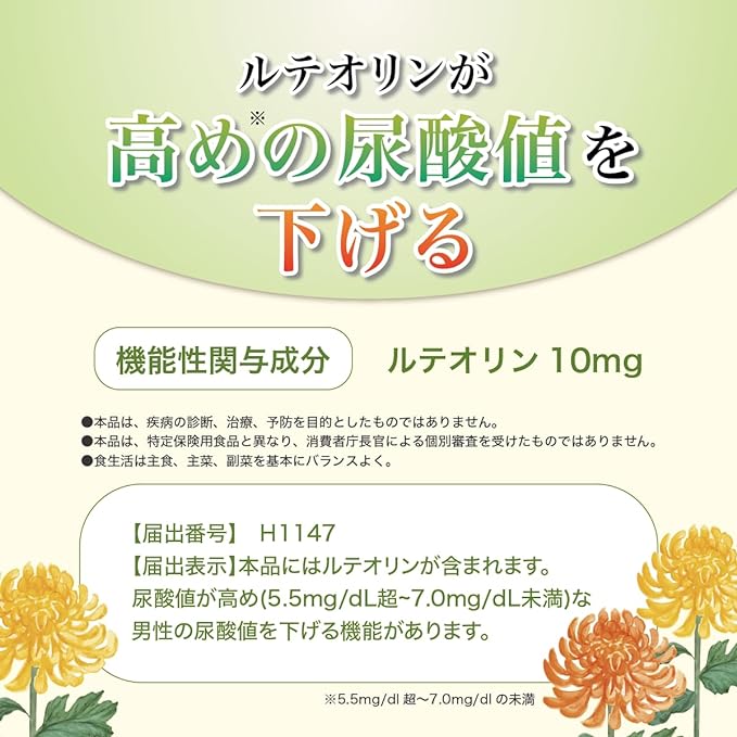 Health Up Luteolin Support Uric Acid Uric Acid Level Support Lowers high uric acid levels Tablet (1 bag) - BeesActive Australia