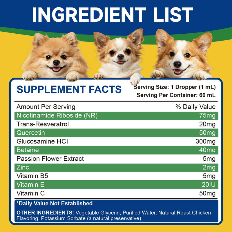 NAD+ for Dogs - Longevity Supplements for Dogs Energy, Vitality, Healthy Aging, Cognitive Health - Senior Dog Supplement with NR, Trans-Resveratrol, Quercetin, Glucosamine HCI - 60ML
