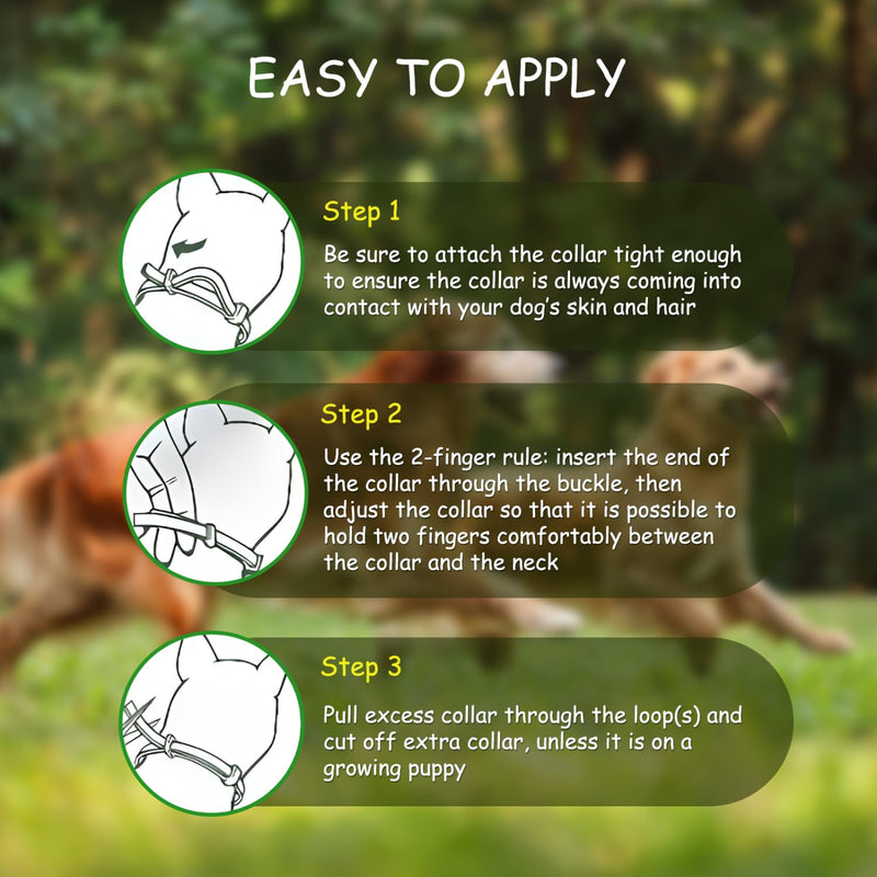 Nobleza - 2 pieces tick collar for dogs, effective protection against ticks and fleas, waterproof and adjustable in size, up to 8 months tick protection with 100% natural ingredients, length 56 cm - BeesActive Australia
