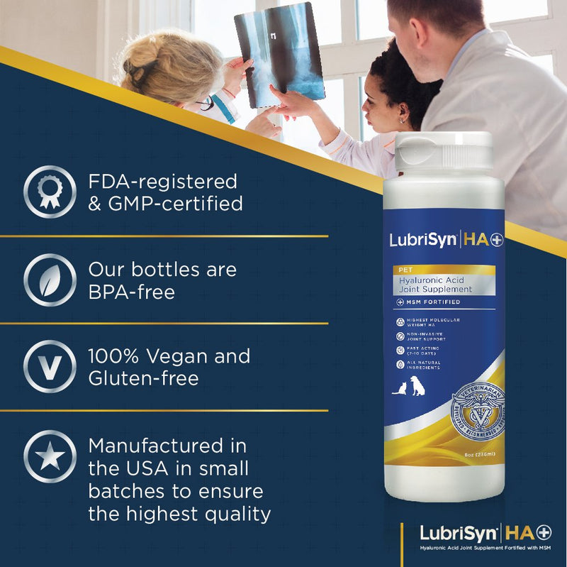 Lubrisyn Hyaluronic Acid + MSM Joints Supplement, 8oz: Natural Pure HA Liquid Dog and Cat Joint & Cartilage Support, Relief and Lubrication for Pets Including Dogs, Cats and Horses, Vegan Formula - BeesActive Australia