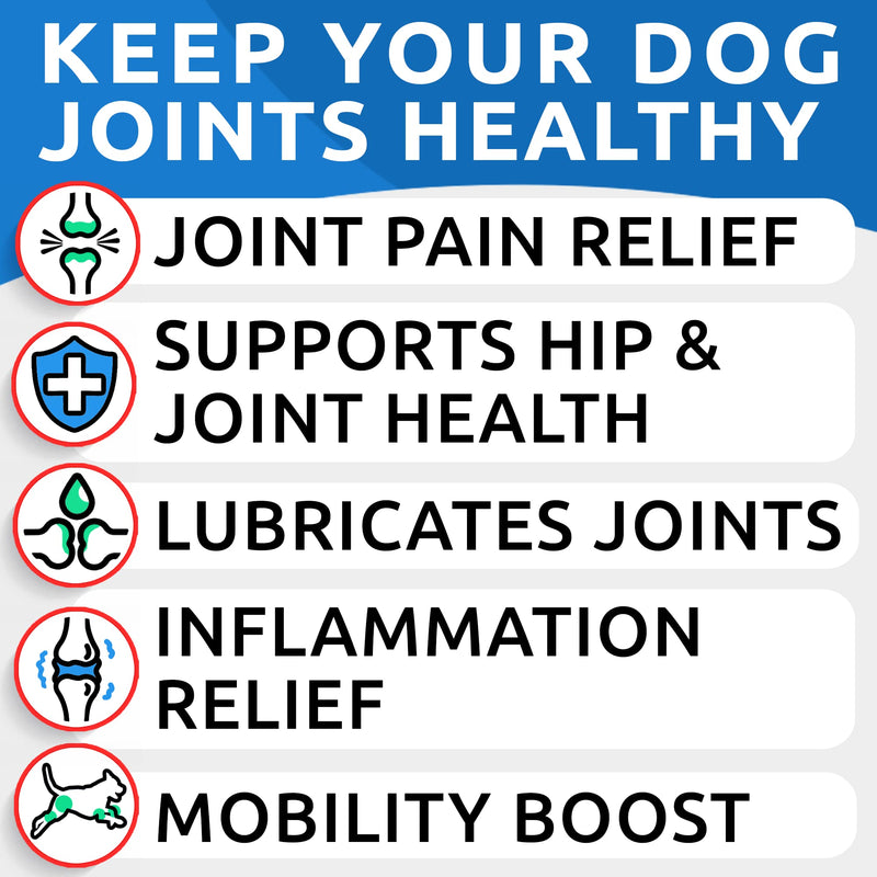 Glucosamine Chondroitin Dog Hip & Joint Supplement - Joint Pain Relief - Hip & Joint Chews for Dogs - Joint Support Large Breed - Senior Doggie Vitamin Pills Joint Health - (240 Treats - Bacon) 240Ct (Value Pack) - Large Dogs - BeesActive Australia