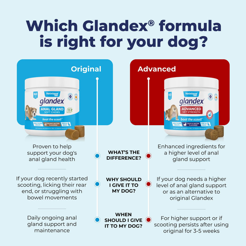 Vetnique Labs Glandex Advanced Strength Anal Sac Soft Chews with Fiber for Dogs, Digestive Enzymes, Probiotics - Veterinarian Recommended Vegetarian Duck & Bacon… (60ct Chew) 60ct Chew - BeesActive Australia