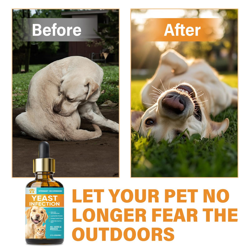 Yeast Infection Treatment for Dogs, Gentle Ear Infection Treatment & Allergy Relief for Dogs, Effectively Soothing Irritation & Itching Discomfort for All Breeds & Size - BeesActive Australia