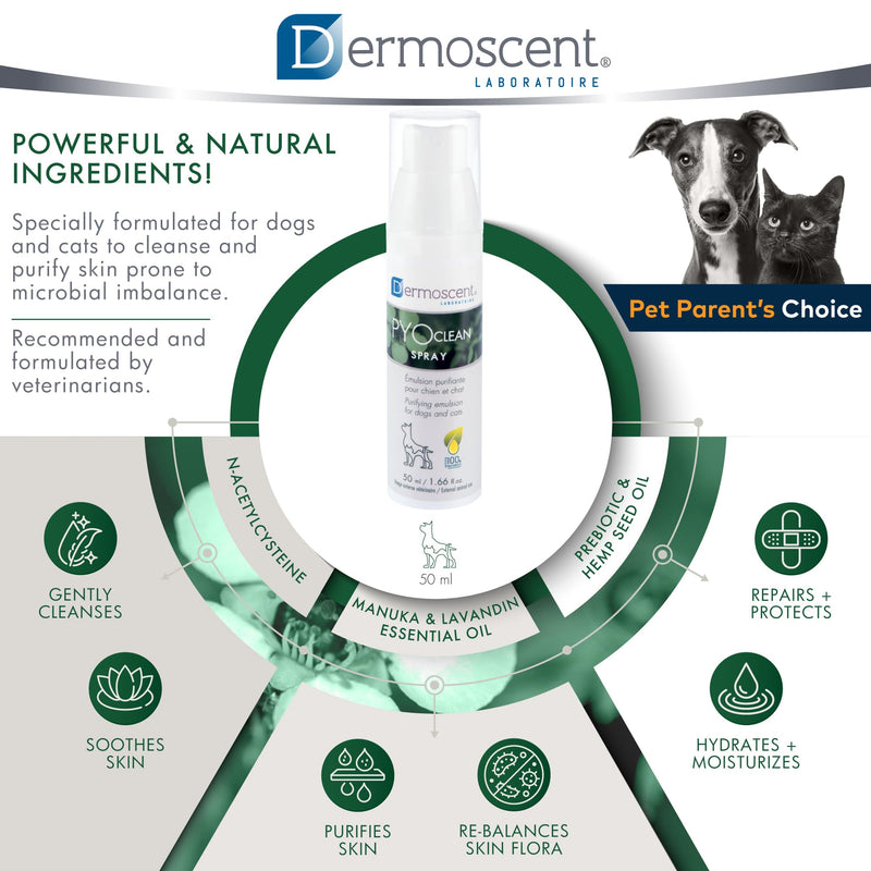 Dermoscent PYOclean Spray for Dogs and Cats - 50 ml - BeesActive Australia