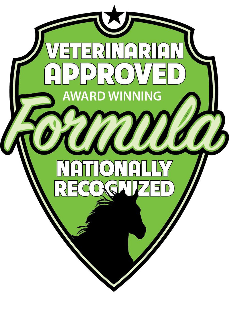 Liniment Gel - Veterinary Strength - Odorless and Colorless - Pain Relief Topical Analgesic Horse Cream for Joint and Muscle Pain - Natural Mineral 16 Fl Oz (Pack of 1) - BeesActive Australia