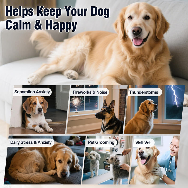 Dog Calming Chews 200ct, Calming Chews for Dogs - Anxiety and Stress Relief Treats Melatonin Bites Sleep Calm Dog - Separation, Fireworks, Thunder, Barking for Dogs - Chicken
