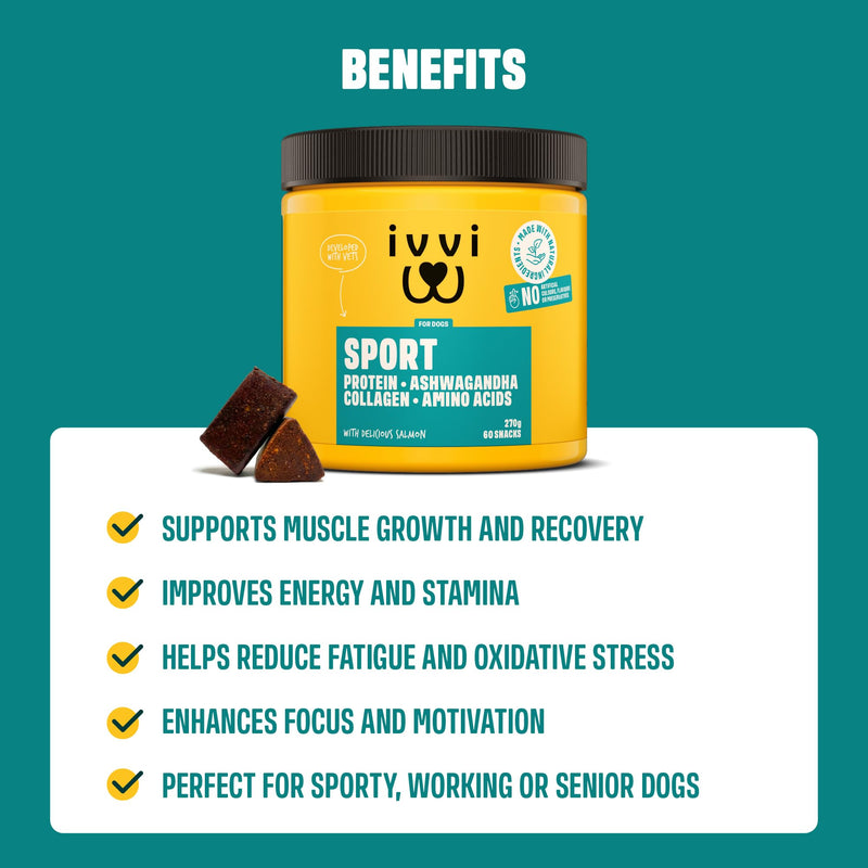ivvi Sport – Functional Dog Snacks | With Protein, Ashwagandha, Collagen & Amino Acids | Supports Muscle Strength, Recovery & Vitality | 60 Soft Treats (270 g)