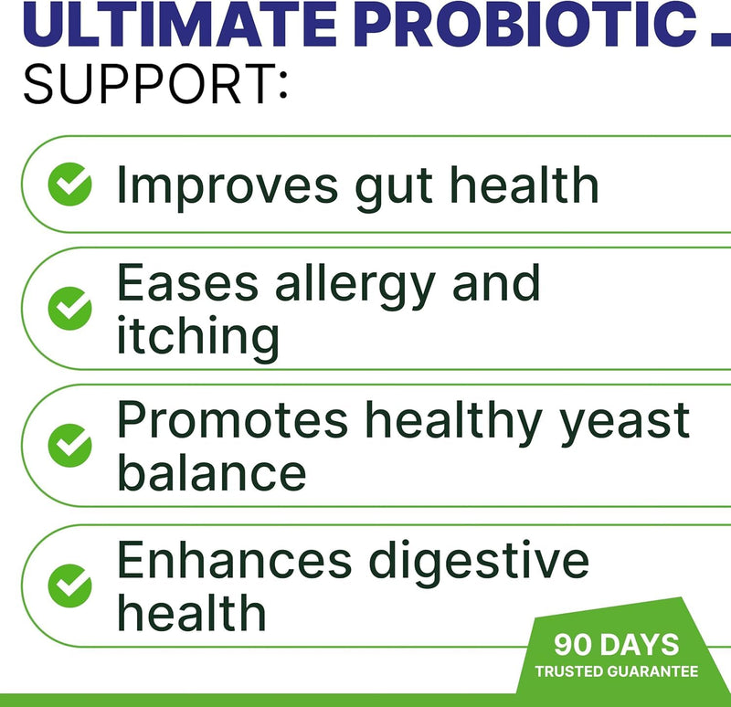 Probiotic, Enzyme, Prebiotic, Dog Chews for Digestive Support - Helps with Stool Consistency, Gas, Constipation, Diarrhea - 100 Chews (Pack of 1) - Classic Beef - BeesActive Australia