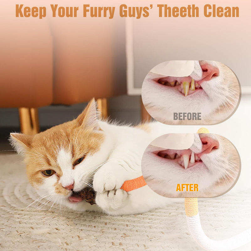 3 PCS Cat Chew Toy, Catnip Toys for Cats, 27.5in Cat Chew Toys for Teeth Cleaning, Kitten Teething Toys for Indoor Cats, Interactive Cat Toy for Indoor Cats - BeesActive Australia