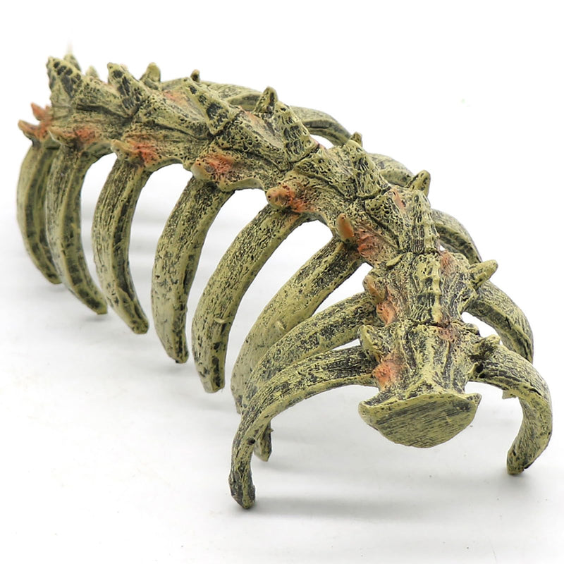 relaqcc Aquarium Skull Animal Skeletons, Reptile Tank Accessories, Fish Tank Decorations for Amphibians, Betta Fish, Shrimp, Hermit Crab, Leopard Gecko - BeesActive Australia