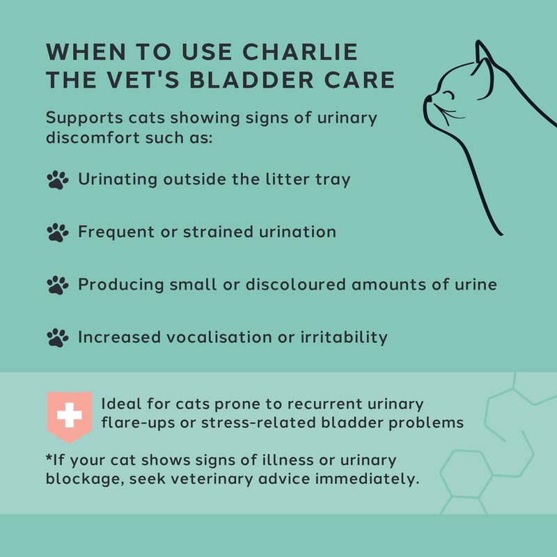 Bladder Care Urinary Support for Cats, with N-Acetyl D-Glucosamine, Hyaluronic Acid, L-Tryptophan and L-Theanine, for Bladder Comfort