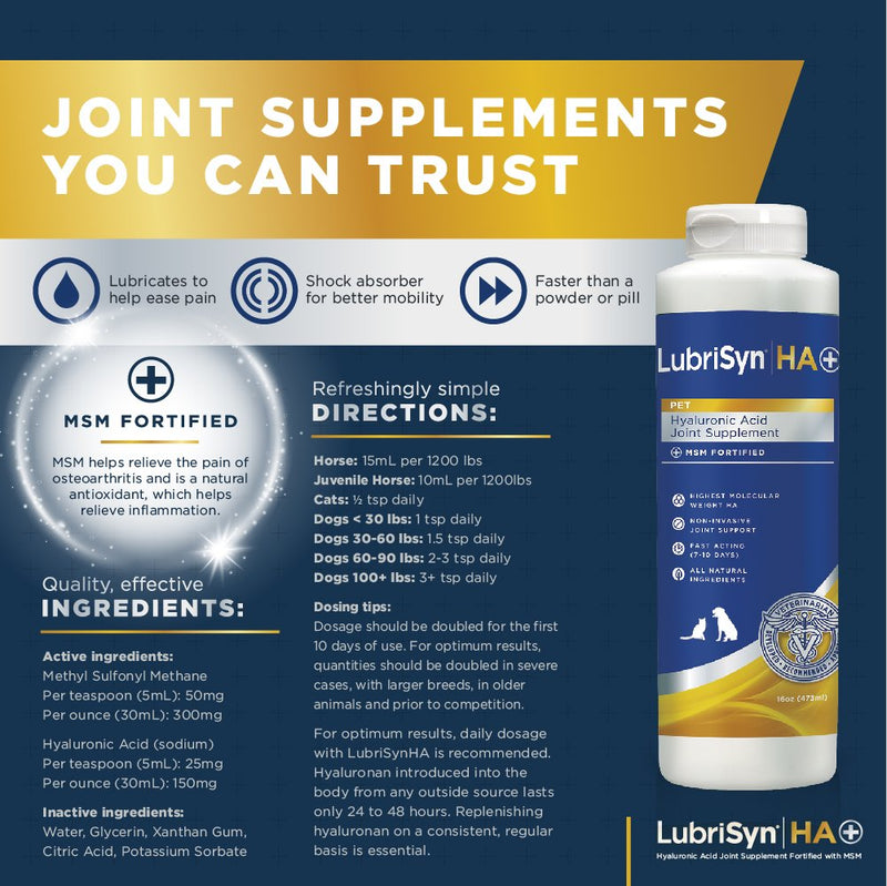 LubriSyn Hyaluronic Acid + MSM Joints Supplement, 16oz: Natural Pure HA Liquid Dog and Cat Joint & Cartilage Support, Relief, and Lubrication for Pets Including Dogs, Cats and Horses, Vegan Formula - BeesActive Australia