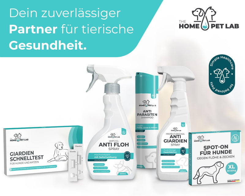 The Home Pet Lab Spot On tick and flea protection for dogs (M: 10-20 kg), effective tick protection for dogs, 3 months long-term effect against ticks M: 10-20 kg - BeesActive Australia