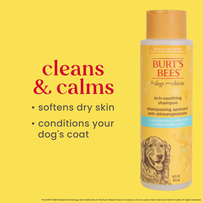 Burt's Bees for Pets Itch Soothing Shampoo with Honeysuckle, 95% Natural Origin Formulas, Dog Shampoo for Itchy Dogs, Dog Shampoo Itchy Skin Relief, 16 oz Unscented 16 Fl Oz (Pack of 1) - PawsPlanet Australia