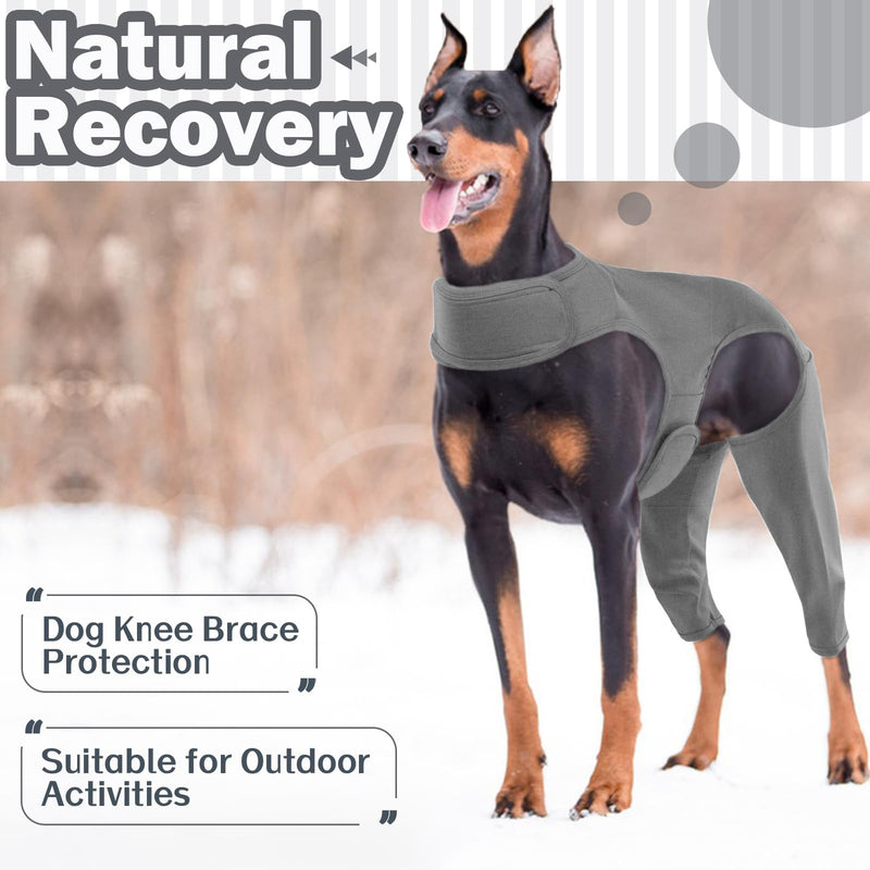 Hjyokuso dog bodysuit after surgery, dog bodysuit after surgery with leg, wound protection suits for dogs, dogs hind leg protection, anti-wound licking surgery body dogs, E-collar alternative for dogs, dog leg protection bodysuit M grey - BeesActive Australia