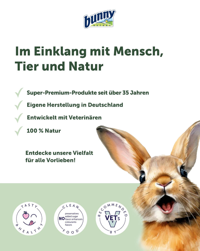 bunnyNature Dwarf Hamster Dream Expert - complete food for dwarf hamsters - food mix with vitamins, power ingredients & mealworms - 500g - BeesActive Australia