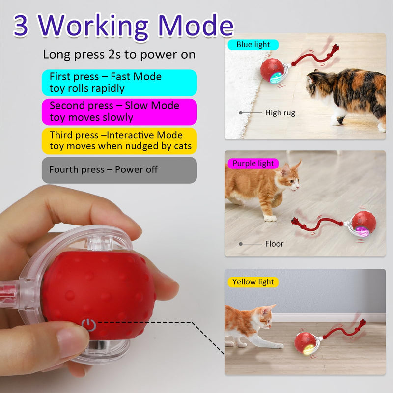 Interactive Cat Toys Ball for Indoor Cats Fast Rolling on Carpet, Chirping & Motion Activate Cat Toys (Red) Red - BeesActive Australia