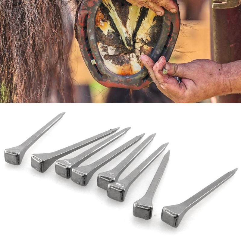 30PCS Horseshoe Nails E6 Equestrian Sport Equipment Horse Training Supplies Tool for Fixed Lead or Glass E6 54mm - BeesActive Australia