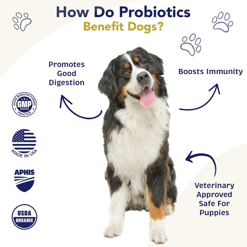 Probiotics for Dogs Digestive Health (Chicken & Bacon) - Dog Probiotic Powder Relieve Diarrhea, Constipation, & More - Dog Calming Treats – Maximum-Strength Dog Digestive Support - PawsPlanet Australia